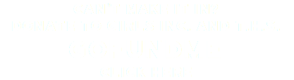 Can't make it in? Donate to GIRLS INC. and T.H.S. GoFundMe CLICK HERE